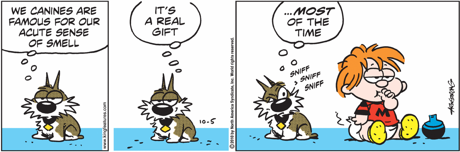 Illustration OCR: WE CANINES ARE FAMOUS FOR OUR ACUTE SENSE OF SMELL IT'S A REAL GIFT ... MOST OF THE TIME SNIFF SNIFF SNIFF 10-5 www.kingfeatures.com 2010 by North America SyndicateInc. World rights reserved. ARMSTRONG WE CANINES ARE FAMOUS FOR OUR ACUTE SENSE OF SMELL IT'S A REAL GIFT ... MOST OF THE TIME SNIFF SNIFF SNIFF 10-5 www.kingfeatures.com 2010 by North America SyndicateInc. World rights reserved. ARMSTRONG