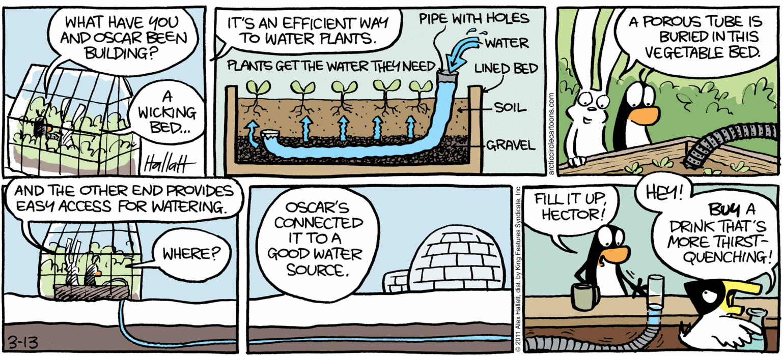 Fiction OCR: ARGIC GRaE PIPE WITH HOLES WHAT HAVE YOU AND OSCAR BEEN BULDING? IT'S AN EFFICIENT WAY To WATER PLANTS. A POROUS TUBE IS BURIED IN THIS VEGETABLE BED. WATER FLANTS GET THE WATER THEYNEEDLINED BED A WICKNG BED. SOIL GRAVEL Hallatt AND THE OTHER END PROVIDES EASY ACCESS FOR WATERING. FILL IT UPHECTOR! HEY! OSCAR'S CONNECTED IT TO A GOOD WATER SOURCEBuy A DRINK THÁT'S MORE THIRST- QUENCHING! --- WHERE? BY ALEXHALLATT 3-13 ARGIC GRaE PIPE WITH HOLES WHAT HAVE YOU AND OSCAR BEEN BULDING? IT'S AN EFFICIENT WAY To WATER PLANTS. A POROUS TUBE IS BURIED IN THIS VEGETABLE BED. WATER FLANTS GET THE WATER THEYNEEDLINED BED A WICKNG BED. SOIL GRAVEL Hallatt AND THE OTHER END PROVIDES EASY ACCESS FOR WATERING. FILL IT UPHECTOR! HEY! OSCAR'S CONNECTED IT TO A GOOD WATER SOURCEBuy A DRINK THÁT'S MORE THIRST- QUENCHING! --- WHERE? BY ALEXHALLATT 3-13