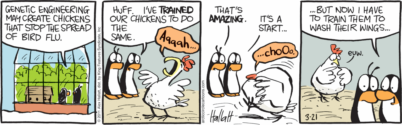 Bird OCR: HUFF. I'VE TRAINED OUR CHICKENS TO DO THE SAME. .BUT NOW I HAVE TO TRAIN THEM TO WASH THEIR WINGS. THAT'S AMAZING. GENETIC ENGINEERING MAY CREATE CHICKENS THAT STOP THE SPREAD OF BIRD FLU. IT'S A START. Aggah.. choOo ? ??|?? 3-21 HUFF. I'VE TRAINED OUR CHICKENS TO DO THE SAME. .BUT NOW I HAVE TO TRAIN THEM TO WASH THEIR WINGS. THAT'S AMAZING. GENETIC ENGINEERING MAY CREATE CHICKENS THAT STOP THE SPREAD OF BIRD FLU. IT'S A START. Aggah.. choOo ? ?? | ?? 3-21