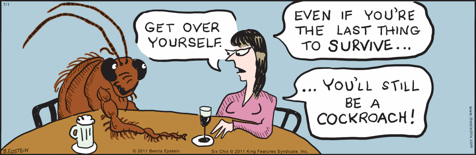 Carnivore OCR: www.thesixchix.com 7/1 GET OVER YOURSELF. EVEN IF YOU'RE THE LAST THING TO SURVIVE... •.. You'LL STILL BE A COCKROACH! 8.EPSTEIN © 2011 Benita Epstein Six Chix 2011 King Features SyndicateInc. www.thesixchix.com 7/1 GET OVER YOURSELF. EVEN IF YOU'RE THE LAST THING TO SURVIVE... •.. You'LL STILL BE A COCKROACH! 8.EPSTEIN © 2011 Benita Epstein Six Chix 2011 King Features Syndicate