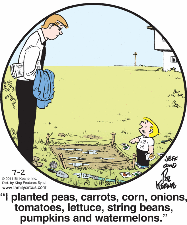 People in nature OCR: . l' *? *?? ?? JEFF and 7-2 © 2011 Bil KeaneInc. Dist. by King Features Synd. www.familycircus.com KEAN "I planted peaspumpkins and watermelons." . l' * ? * ? ? ? ? JEFF and 7-2 © 2011 Bil KeaneInc. Dist. by King Features Synd. www.familycircus.com KEAN "I planted peasstring beanspumpkins and watermelons."