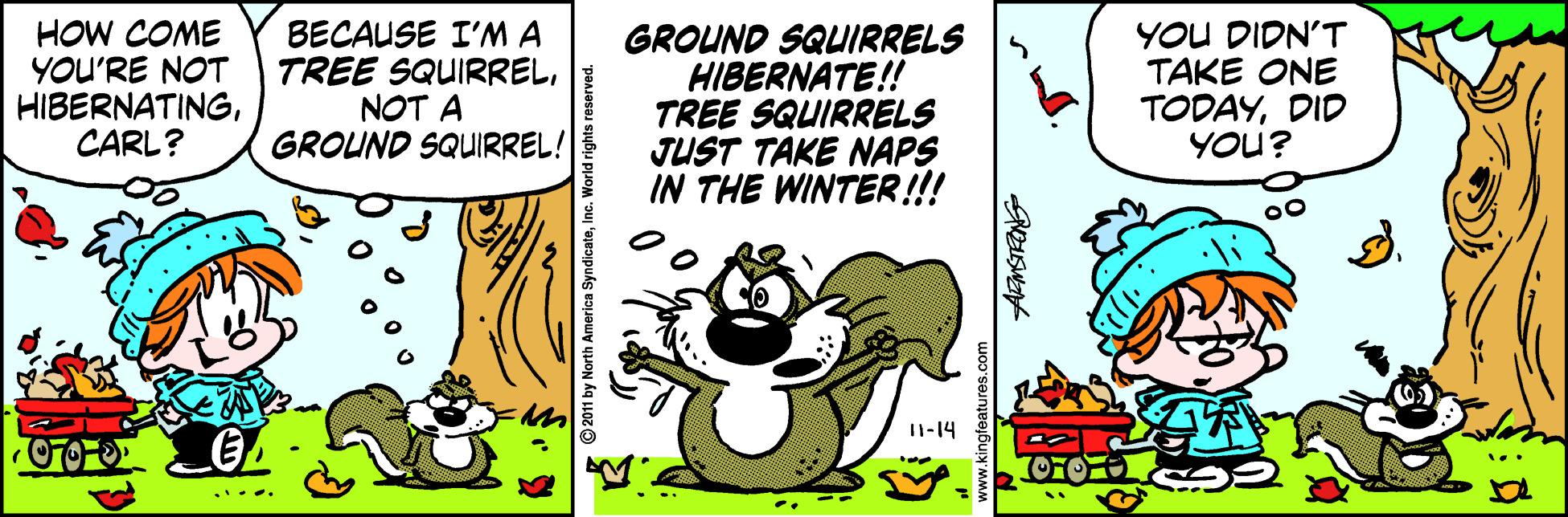 Drawing OCR: HOW COME YOU'RE NOT HIBERNATINGCARL? BECAUSE I'MA TREE SQUIRRELNOT A GROUND SQUIRREL! GROUND SQUIRRELS HIBERNATE!! TREE SQUIRRELS JUST TAKE NAPS IN THE WINTER!!! YOU DIDN'T TAKE ONE TODAYDID YOU? 00 I1-14 HOW COME YOU'RE NOT HIBERNATINGCARL? BECAUSE I'MA TREE SQUIRRELNOT A GROUND SQUIRREL! GROUND SQUIRRELS HIBERNATE!! TREE SQUIRRELS JUST TAKE NAPS IN THE WINTER!!! YOU DIDN'T TAKE ONE TODAYDID YOU? 00 I1-14