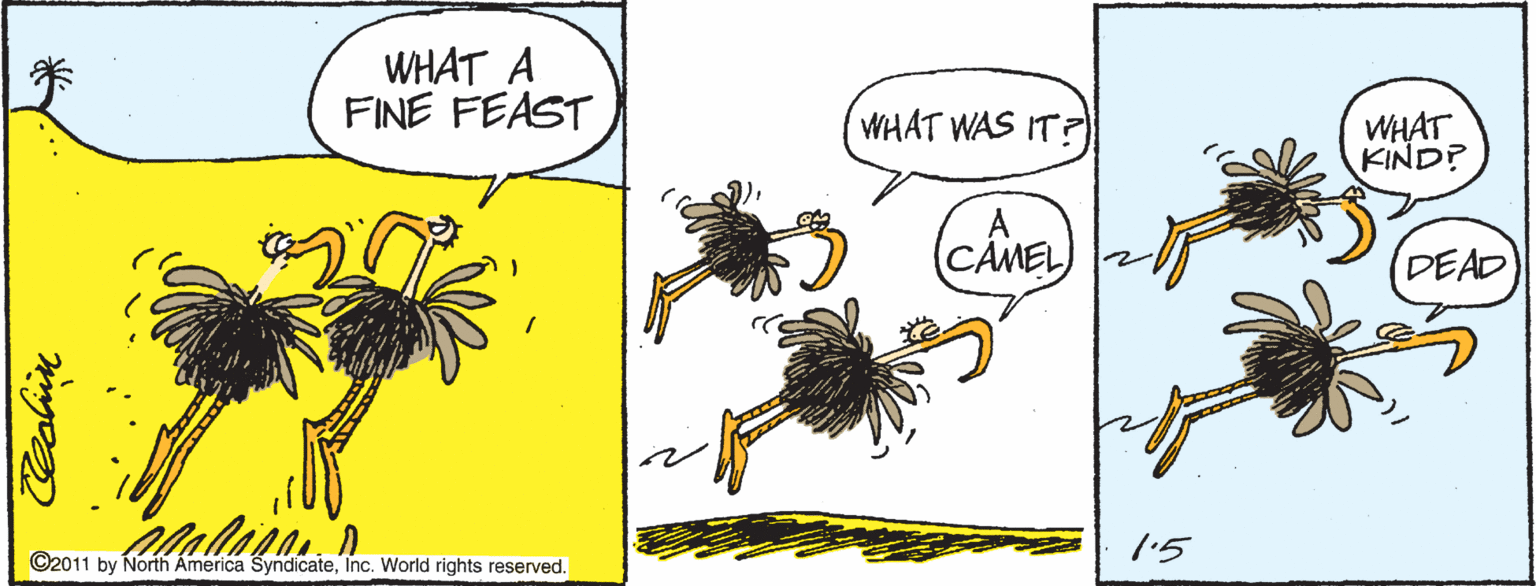 Art OCR: WHAT A FINE FEAST WHAT WAS IT?) WHAT KIND? (CAMEL DEAD 1'5 ©2011 by North America SyndicateInc. World rights reserved. Cealiin WHAT A FINE FEAST WHAT WAS IT?) WHAT KIND? (CAMEL DEAD 1'5 ©2011 by North America SyndicateInc. World rights reserved. Cealiin