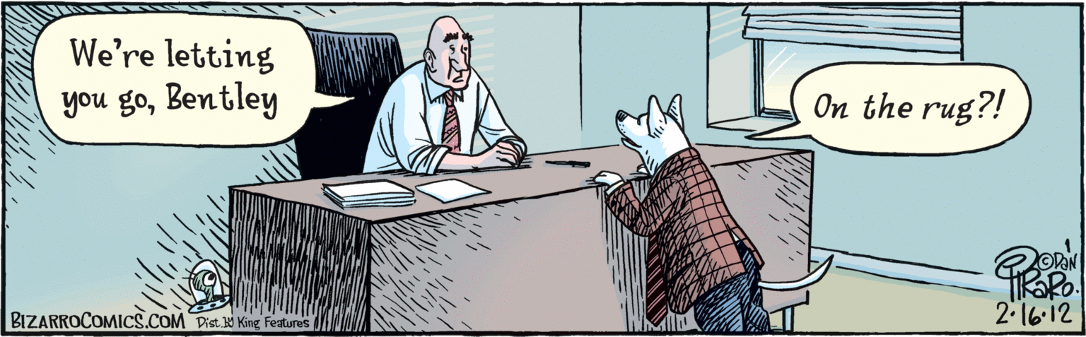 Cat OCR: We're letting you goBentley. On the rug?! 2'16-12 Dist 9 King Faturas BIZARROCOMICS.COM We're letting you goBentley. On the rug?! 2'16-12 Dist 9 King Faturas BIZARROCOMICS.COM