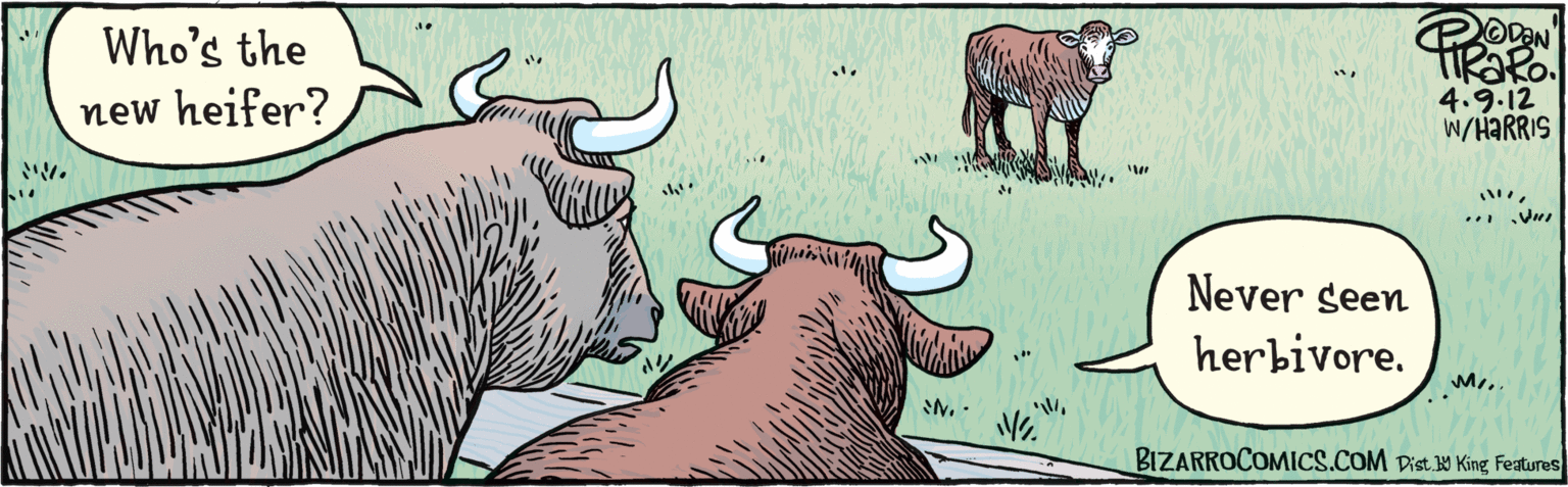 Drawing OCR: DON ikako. 4.9.12 W/ H?RRIS Who's the new heifer? Never seen herbivore. Dist Y King Fealures BIZARROCOMICS.COM DON ikako. 4.9.12 W/ H?RRIS Who's the new heifer? Never seen herbivore. Dist Y King Fealures BIZARROCOMICS.COM