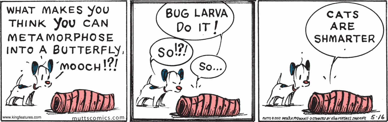 Line OCR: WHAT MAKES YOU THINK You CAN BUG LARVA Do IT! So!?? CATS ARE METAMORPHOSE INTO A BUTTERFLY!?! SHMARTER 'MOOCH! So.. www.kingfeatures.com muttscomics.com. Mum 02012 PTekkMpOell DISTRAPED Y Ke FEATRES SWOKATE 5:76 WHAT MAKES YOU THINK You CAN BUG LARVA Do IT! So!?? CATS ARE METAMORPHOSE INTO A BUTTERFLY!?! SHMARTER 'MOOCH! So.. www.kingfeatures.com muttscomics.com. Mum 02012 PTekkMpOell DISTRAPED Y Ke FEATRES SWOKATE 5:76