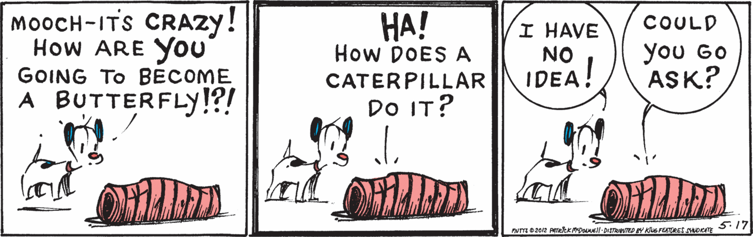Dog OCR: MOOCH-ITS CRAZY! How ARE You GOING TO BECOME A BUTTERFLY!?! ??! How DOES A COULD I HAVE NO you Go ASK? CATERPILLAR IDEA! DO IT? MOOCH-ITS CRAZY! How ARE You GOING TO BECOME A BUTTERFLY!?! ??! How DOES A COULD I HAVE NO you Go ASK? CATERPILLAR IDEA! DO IT?