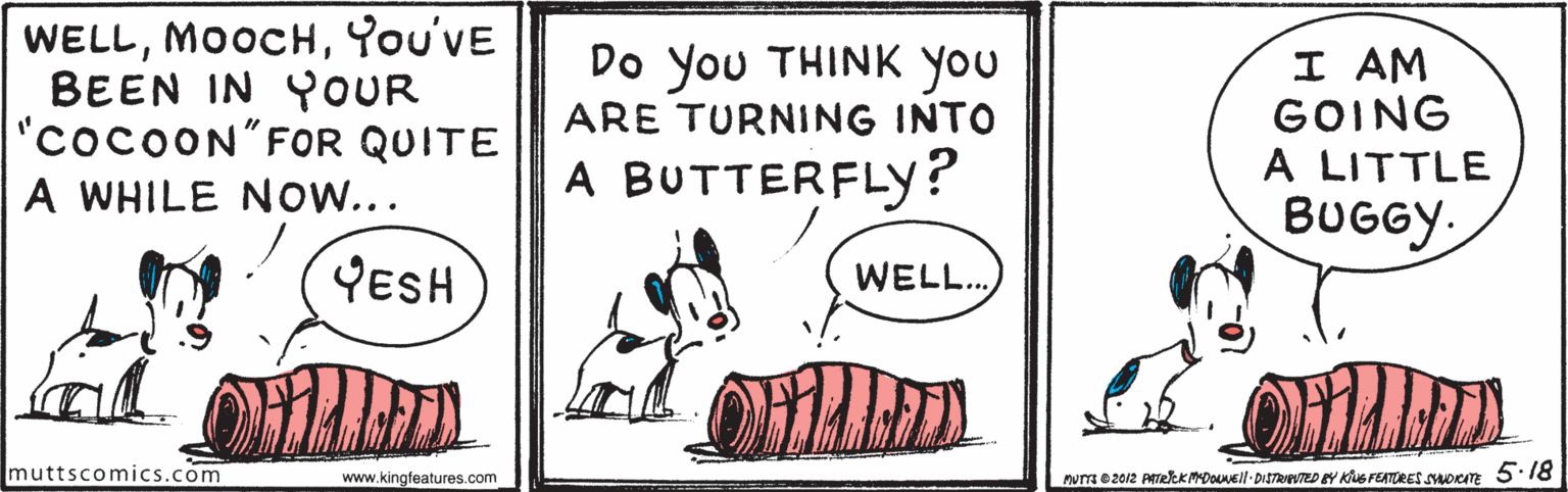 Line OCR: WELLYou'vE BEEN IN YOUR "cocoON"FOR QUITE A WHILE NOw... Do you THINK you I AM GOING A LITTLE BUGGY. ARE TURNING INTO A BUTTERFLY? YESH WELL.. muttscomics.com www.kingfeatures.com uT e 2012 PATekKMDOnell DItTRTED BY KUs FEATORES worAE 5.18 WELLYou'vE BEEN IN YOUR "cocoON"FOR QUITE A WHILE NOw... Do you THINK you I AM GOING A LITTLE BUGGY. ARE TURNING INTO A BUTTERFLY? YESH WELL.. muttscomics.com www.kingfeatures.com uT e 2012 PATekKMDOnell DItTRTED BY KUs FEATORES worAE 5.18