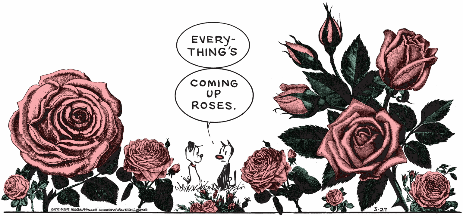 Flowering plant OCR: EVERY- THING'S COMING UP ROSES. EVERY- THING'S COMING UP ROSES.