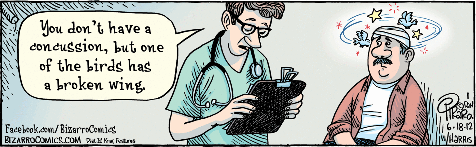Sleeve OCR: BIZARROCOMICS.COM WT Facebook.com/ Bizarrocomies You don't have a concussionbut one of the birds has a broken wing. Dist Y King Features ©DONTIRORO.6.18.12 w/HARRIS BIZARROCOMICS.COM WT Facebook.com/ Bizarrocomies You don't have a concussionbut one of the birds has a broken wing. Dist Y King Features ©DONTIRORO.6.18.12 w/HARRIS