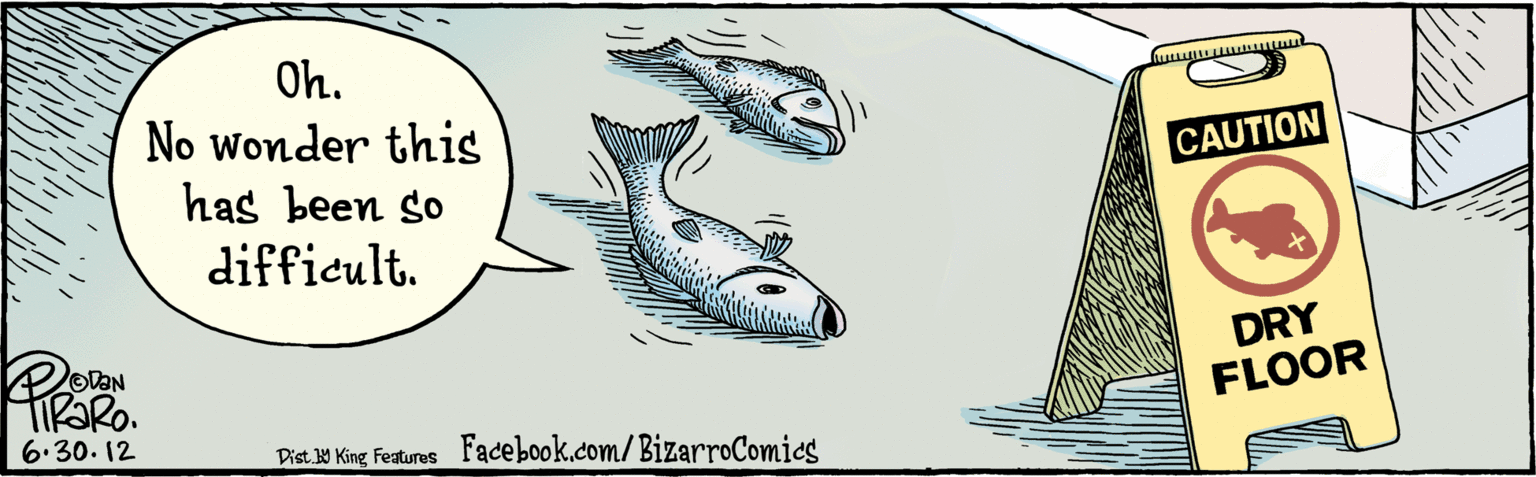 Triangle OCR: BIZARROCOMICS.COM Oh. No wonder this has been so difficult. CAUTION DRY FLOOR OVAN 6.30.12 Facebook.com/BizarroComics Dist. Y King Features BIZARROCOMICS.COM Oh. No wonder this has been so difficult. CAUTION DRY FLOOR OVAN 6.30.12 Facebook.com/BizarroComics Dist. Y King Features