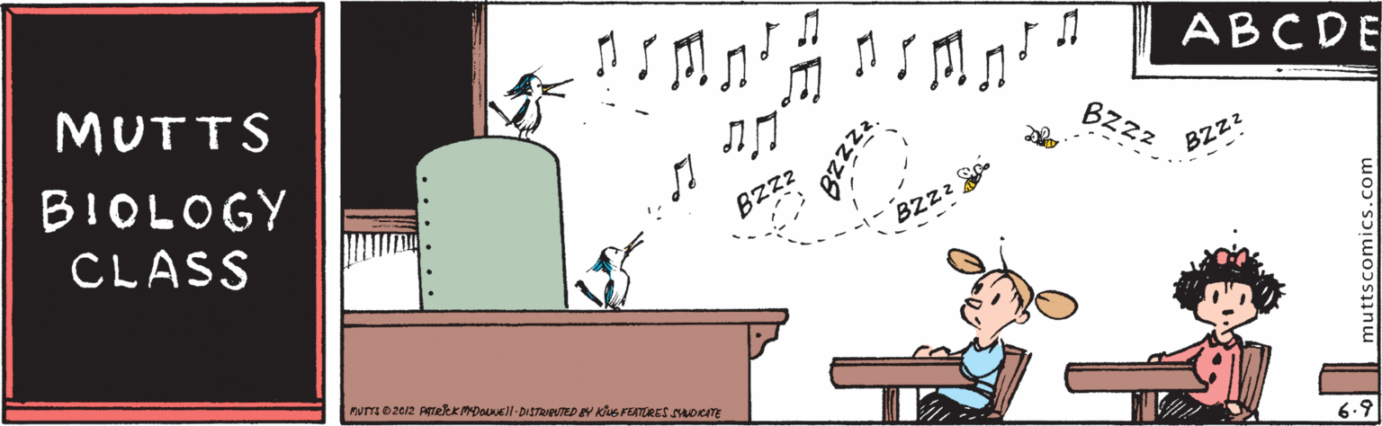 Rectangle OCR: ABCDE MUTTS Bzzz BIOLOGY CLASS BZz BZz 6.9 muttscomics.com ABCDE MUTTS Bzzz BIOLOGY CLASS BZz BZz 6.9 muttscomics.com