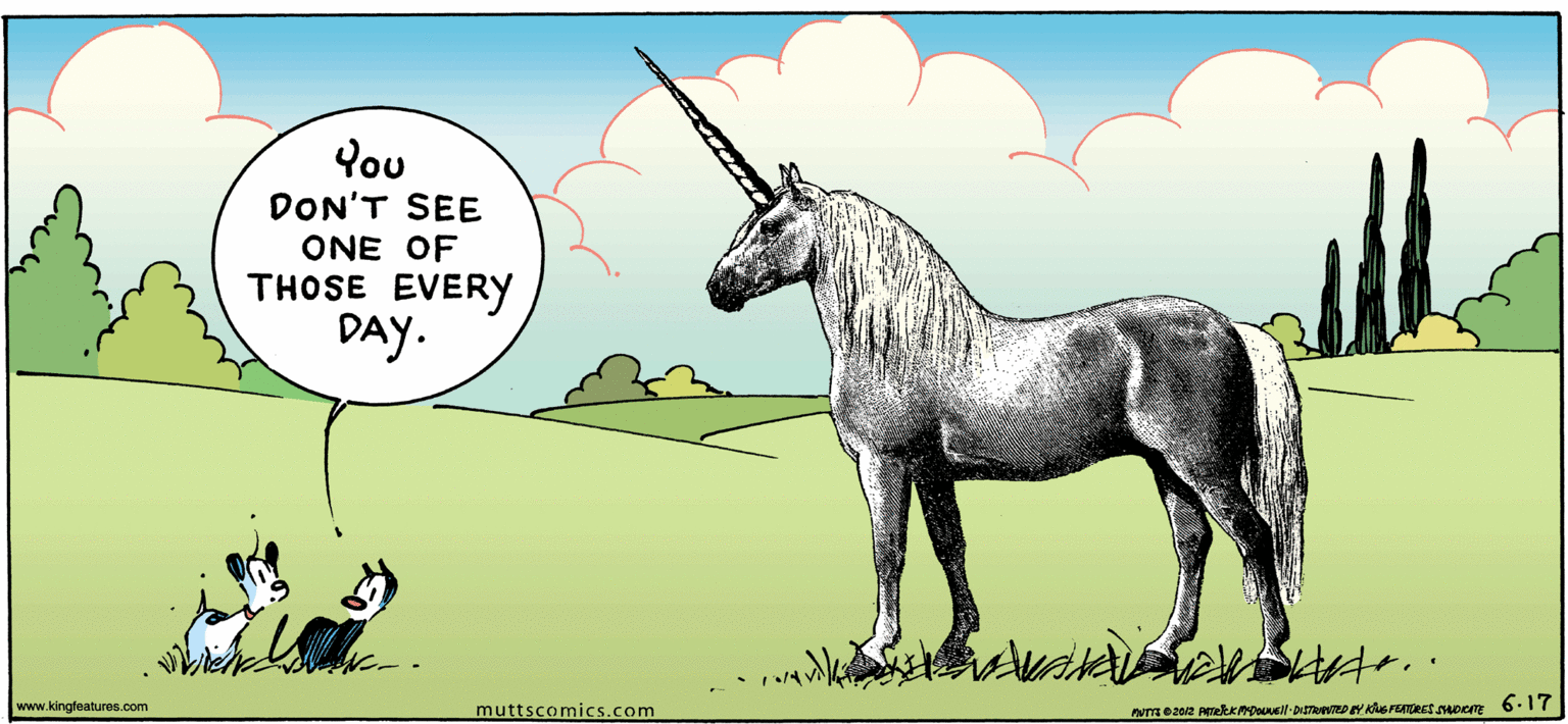 Plant OCR: You DON'T SEE ONE OF THOSE EVERY DAY. www.kingfeatures.com muttscomics.com You DON'T SEE ONE OF THOSE EVERY DAY. www.kingfeatures.com muttscomics.com