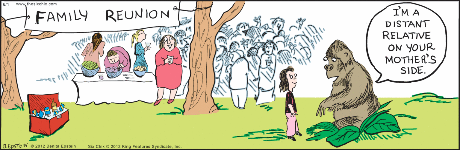 Font OCR: www.thesixchix.com FAMILY REUNION 6/1 IM A DISTANT RELATIVE ON YOUR MOTHER'S SIDE. 8.EPSTEIN © 2012 Benita Epstein Six Chix 2012 King Features SyndicateInc. www.thesixchix.com FAMILY REUNION 6/1 IM A DISTANT RELATIVE ON YOUR MOTHER'S SIDE. 8.EPSTEIN © 2012 Benita Epstein Six Chix 2012 King Features Syndicate