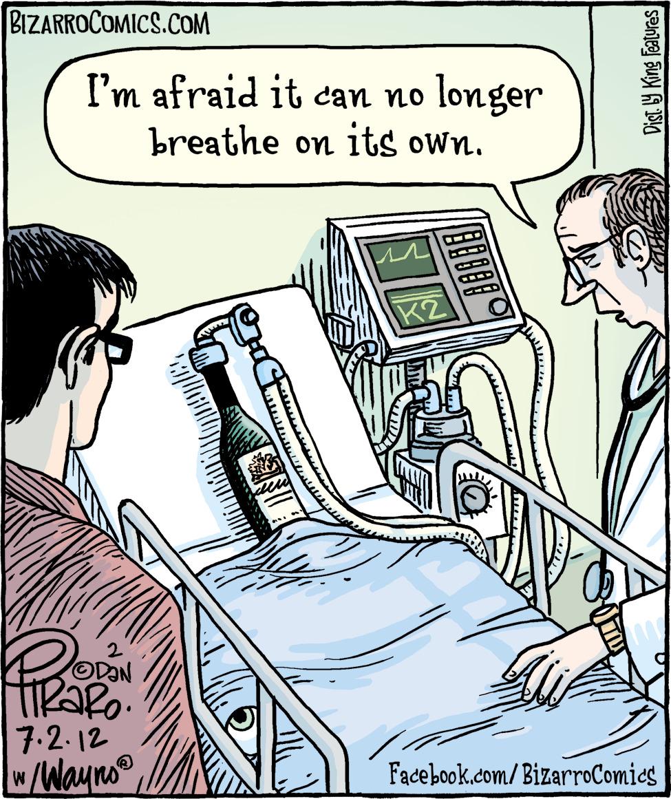 Art OCR: BIZARROCOMICS.COM I'm afraid it can no longer breathe on its own. K2 ODAN 7.2.12 /Wayno Facebook.com/BizarroComics Dist 19 King Features BIZARROCOMICS.COM I'm afraid it can no longer breathe on its own. K2 ODAN 7.2.12 /Wayno Facebook.com/BizarroComics Dist 19 King Features