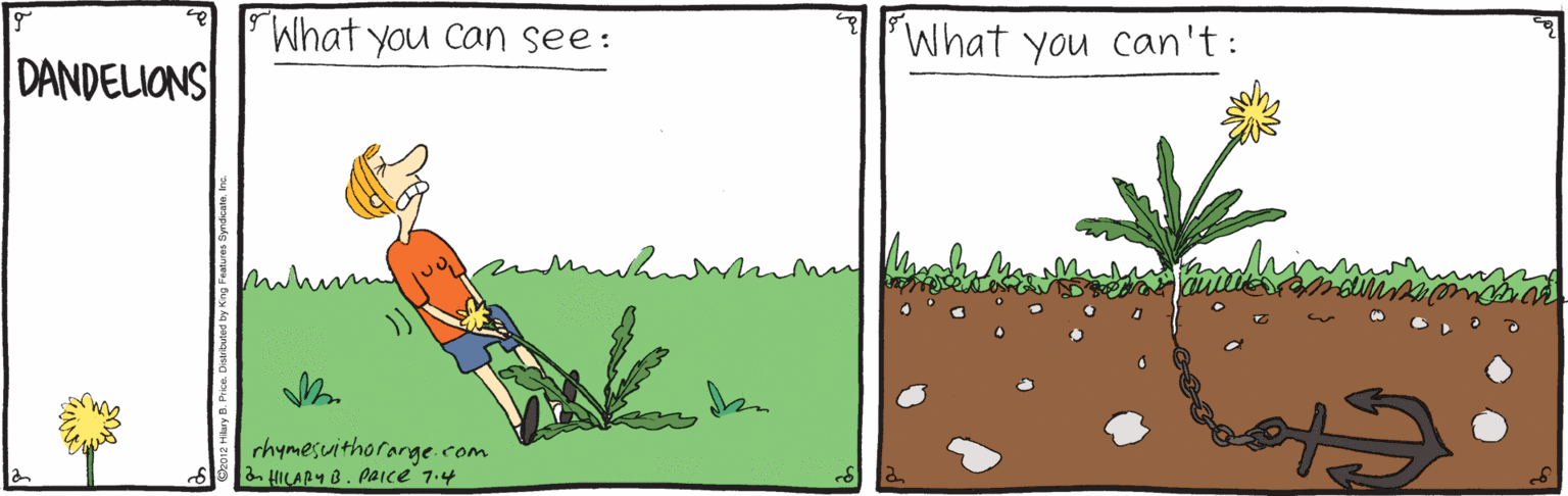 Adaptation OCR: What you can see: What you can't: DANDELIONS whinnmn rhymesuithorange.com a HICARY B. paice 7.4 What you can see: What you can't: DANDELIONS whinnmn rhymesuithorange.com a HICARY B. paice 7.4