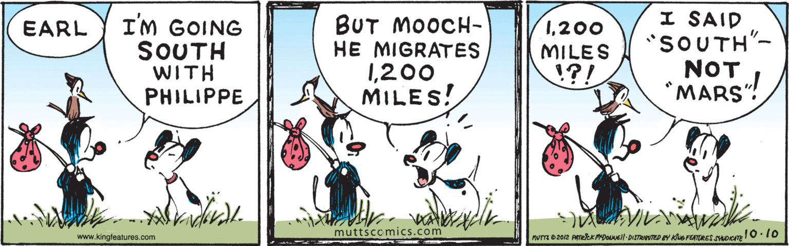 Pattern OCR: I'm GOING SOUTH WITH PHILIPPE BUT MOOCH- HE MIGRATES 1200 MILES! I SAID "SOUTH"- NOT *MARS"! EARL 1200 MILES ?! muttsccmics.com www.kingfeatures.com I'm GOING SOUTH WITH PHILIPPE BUT MOOCH- HE MIGRATES 1200 MILES! I SAID "SOUTH"- NOT *MARS"! EARL 1200 MILES ?! muttsccmics.com www.kingfeatures.com