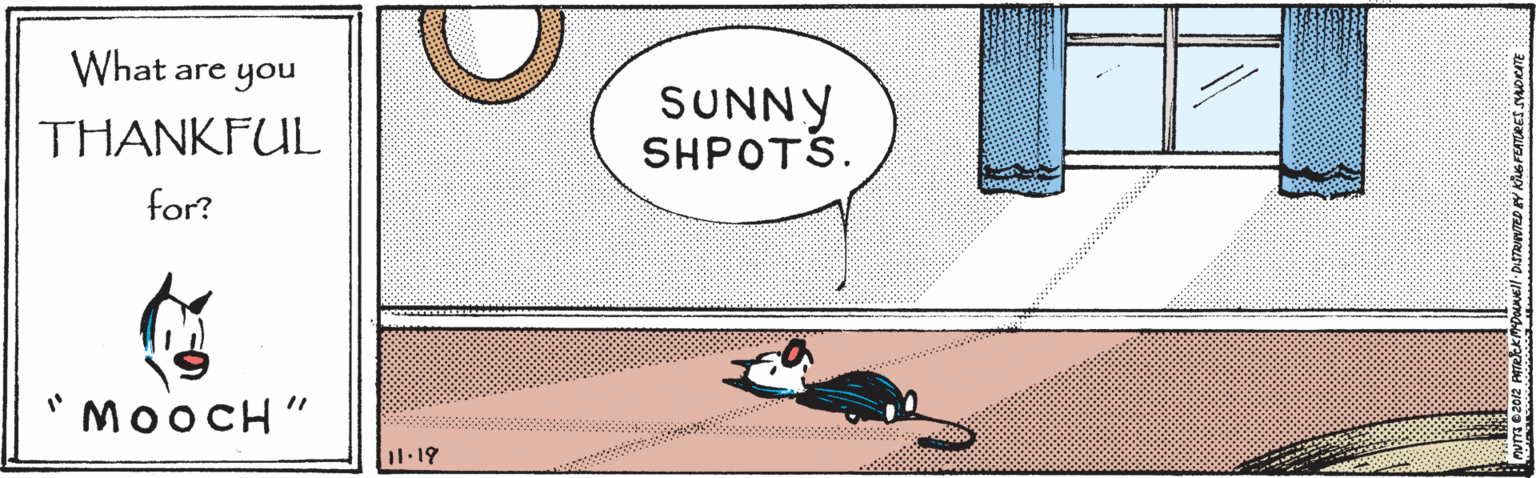 Illustration OCR: What are you SUNNY SHPOTS. THANKFUL for? ww ww "MOOCH" 11.19 What are you SUNNY SHPOTS. THANKFUL for? ww ww "MOOCH" 11.19