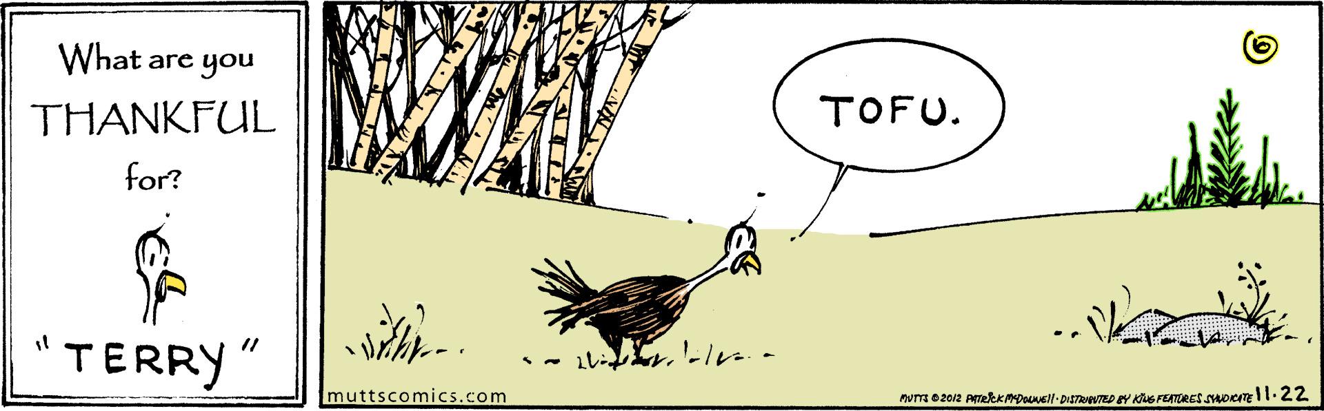 Feather OCR: What are you THANKFUL TOFU. for? TERRY muttscomics.com What are you THANKFUL TOFU. for? TERRY muttscomics.com