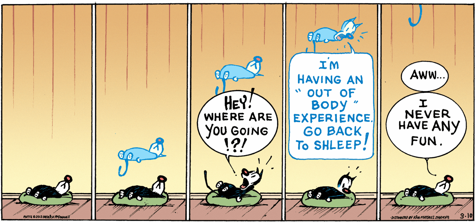 Publication OCR: I'M Aw... HEY! WHERE ARE You GOING !?! HAVING AN " OUT OF BODY EXPERIENCE. GO BACK To SHLEEP! NEVER HAVE ANY FUN. 3-10 I'M Aw... HEY! WHERE ARE You GOING !?! HAVING AN " OUT OF BODY EXPERIENCE. GO BACK To SHLEEP! NEVER HAVE ANY FUN. 3-10