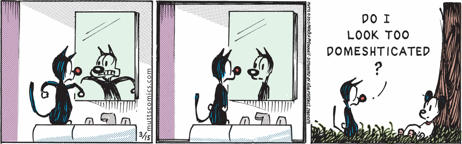 Drawing OCR: DO I LOOK TOO DOMESHTICATED DO I LOOK TOO DOMESHTICATED