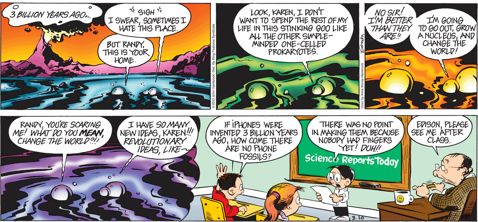 Design OCR: NO SIR! I'M BETTER LOOKI PON'T WANT TO SPEND THE REST OF MY LIFE IN THIS STINKING GOO LIKE ALL THE OTHER SIMPLE- MINDED ONE-CELLED PROKARYOTES. SIGH I SWEARSOMETIMES I HATE THIS PLACE. 3 BILLION YEARS AGO. IM GOING THAN THEY TO GO OUTGROW A NUCLEUSAND CHANGE THE WORLD! ARE!! BUT RANDYTHIS IS YOUR HOME. RANDYYOU'RE SCARING ME! WHAT DO YOU MEANCHANGE THE WORLD? I HAVE SO MAYKAREN! REVOLUTIONARY IDEASLIKE- IF IPHONES WERE INVENTED 3 BILLION YEARS AGOHOW COME THERE ÅRE NO PHONE FOSSILS? THERE WAS NO POINT IN MAKING THEM BECAUSE NOBOPY HAD FINGERS YET! DUH!! Science Reports Today EDISONPLEASE SEE ME ÁFTER CLASS. 3.To NO SIR! I'M BETTER LOOKI PON'T WANT TO SPEND THE REST OF MY LIFE IN THIS STINKING GOO LIKE ALL THE OTHER SIMPLE- MINDED ONE-CELLED PROKARYOTES. SIGH I SWEARSOMETIMES I HATE THIS PLACE. 3 BILLION YEARS AGO. IM GOING THAN THEY TO GO OUTGROW A NUCLEUSAND CHANGE THE WORLD! ARE!! BUT RANDYTHIS IS YOUR HOME. RANDYYOU'RE SCARING ME! WHAT DO YOU MEANCHANGE THE WORLD? I HAVE SO MAYNEW IDEASKAREN! REVOLUTIONARY IDEASLIKE- IF IPHONES WERE INVENTED 3 BILLION YEARS AGOHOW COME THERE ÅRE NO PHONE FOSSILS? THERE WAS NO POINT IN MAKING THEM BECAUSE NOBOPY HAD FINGERS YET! DUH!! Science Reports Today EDISONPLEASE SEE ME ÁFTER CLASS. 3.To