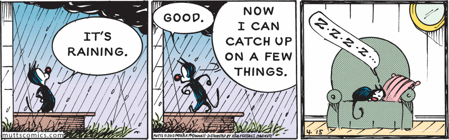 Fictional character OCR: NOW GOOD. I CAN IT'S CATCH UP RAINING. ON A FEW THINGS. --- muttscomics.com ws0 2013 PATeek MDOUNEN- DISTRISUTED EY KiG FEATORES SYDCME NOW GOOD. I CAN IT'S CATCH UP RAINING. ON A FEW THINGS. --- muttscomics.com ws0 2013 PATeek MDOUNEN- DISTRISUTED EY KiG FEATORES SYDCME