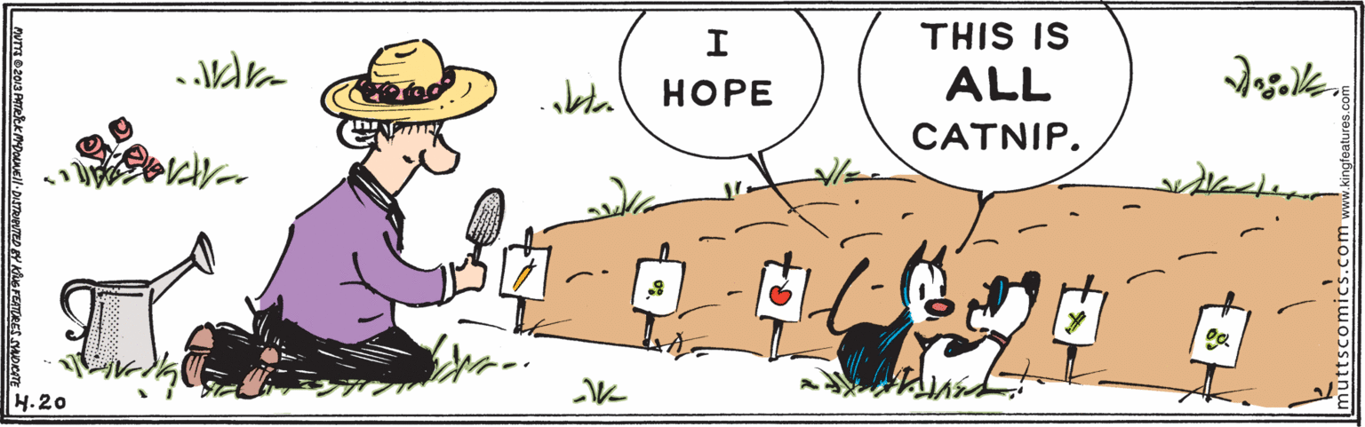 Font OCR: THIS IS bta HOPE ALL CATNIP. H.20 THIS IS bta HOPE ALL CATNIP. H.20