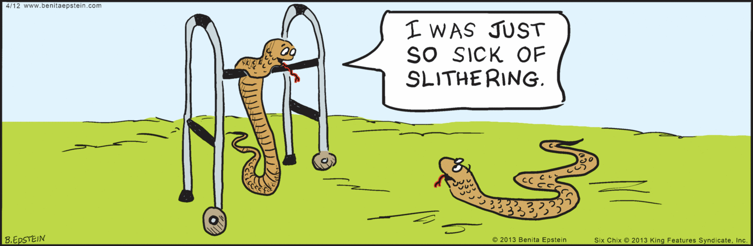 Drawing OCR: www.benitaepstein.com 4/12 I WAS JUST sO SICK OF SLITHERING. 8.EPSTEIN © 2013 Benita Epstein Six Chix 2013 King Features SyndicateInc. www.benitaepstein.com 4/12 I WAS JUST sO SICK OF SLITHERING. 8.EPSTEIN © 2013 Benita Epstein Six Chix 2013 King Features Syndicate