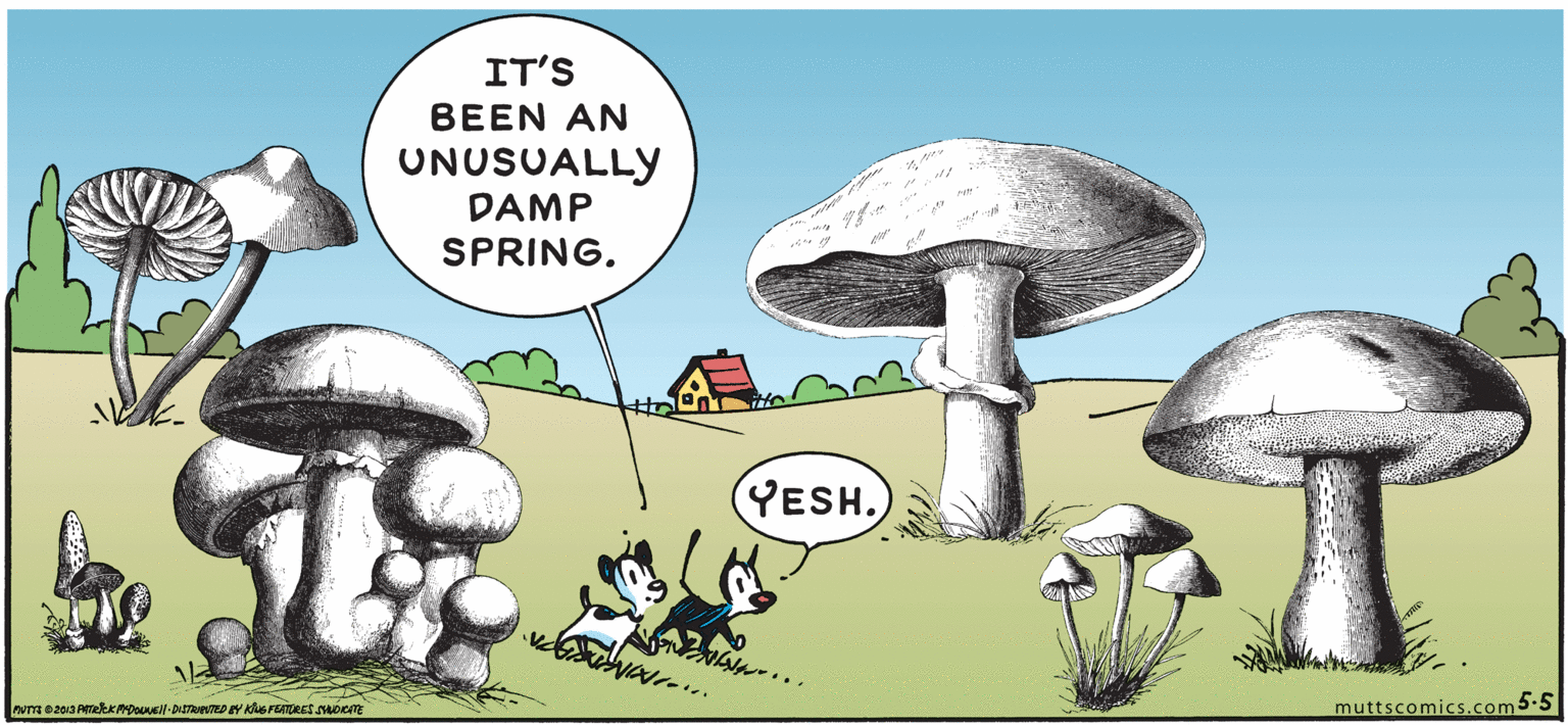 Terrestrial plant OCR: IT'S BEEN AN UNUSUALLY DAMP SPRING. YESH. muttscomics.com5.5 IT'S BEEN AN UNUSUALLY DAMP SPRING. YESH. muttscomics.com5.5