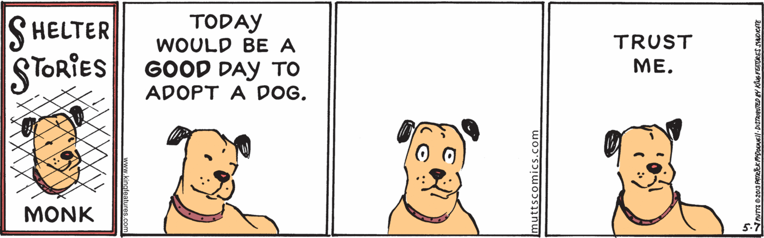Happy OCR: TODAY WOULD BE A HELTER TRUST STORIES GOOD DAY TO ADOPT A DOG. ??. MONK 5.7 muttscomics. www.kinateatures.com TODAY WOULD BE A HELTER TRUST STORIES GOOD DAY TO ADOPT A DOG. ??. MONK 5.7 muttscomics. www.kinateatures.com