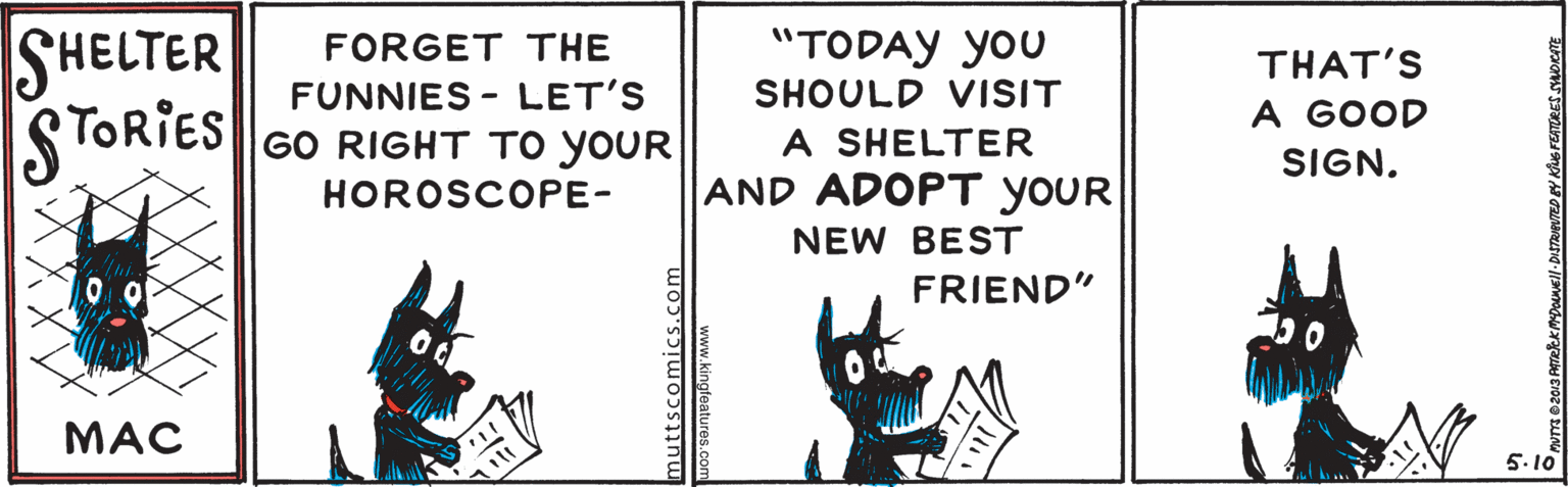Fictional character OCR: SHELTER STORIES "TODAY you FORGET THE FUNNIES - LET'S |GO RIGHT TO YOUR THAT'S SHOULD VISIT A GOOD A SHELTER AND ADOPT YOUR SIGN. HOROSCOPE- NEW BEST FRIEND" MAC 5.10 muttscomics. kingleatures.co SHELTER STORIES "TODAY you FORGET THE FUNNIES - LET'S |GO RIGHT TO YOUR THAT'S SHOULD VISIT A GOOD A SHELTER AND ADOPT YOUR SIGN. HOROSCOPE- NEW BEST FRIEND" MAC 5.10 muttscomics. kingleatures.co