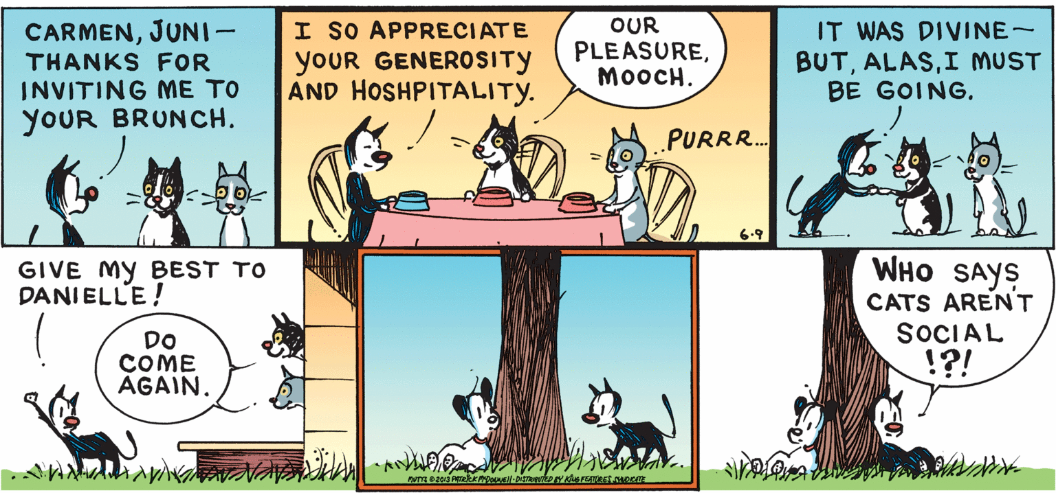 Adaptation OCR: CARMENJUNI- THANKS FOR I SO APPRECIATE yoUR GENEROSITY AND HOSHPITALITY. OUR PLEASUREMOOCH. IT WAS DIVINE- BUTI MUST BE GOING. INVITING ME TO YOUR BRUNCH. .PURR. 6.9 WHO SAYS CATS ARENT SOCIAL !?! GIVE MY BEST TO DANIELLE! DO COME AGAIN. CARMENJUNI- THANKS FOR I SO APPRECIATE yoUR GENEROSITY AND HOSHPITALITY. OUR PLEASUREMOOCH. IT WAS DIVINE- BUTI MUST BE GOING. INVITING ME TO YOUR BRUNCH. .PURR. 6.9 WHO SAYS CATS ARENT SOCIAL !?! GIVE MY BEST TO DANIELLE! DO COME AGAIN.