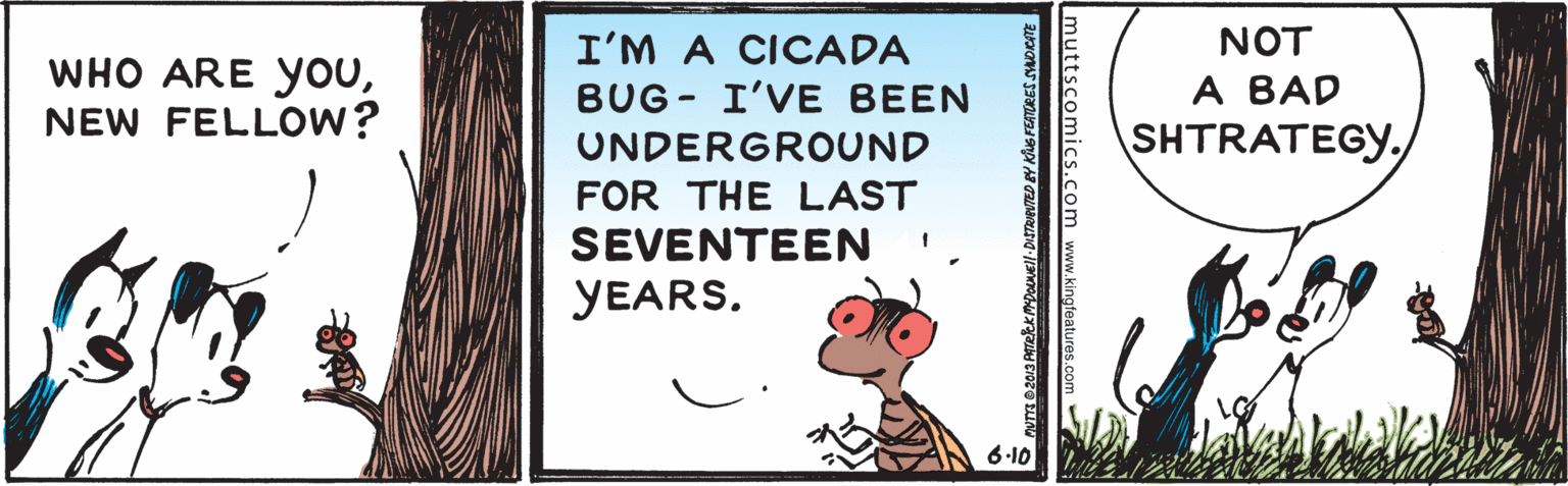 Terrestrial animal OCR: NOT WHO ARE YouNEW FELLOW? I'M A CICADA BUG- I'VE BEEN A BAD UNDERGROUND SHTRATEGYFOR THE LAST SEVENTEEN YEARS. 6-10 muttscomics.com www.kingteatures.c NOT WHO ARE YouNEW FELLOW? I'M A CICADA BUG- I'VE BEEN A BAD UNDERGROUND SHTRATEGYFOR THE LAST SEVENTEEN YEARS. 6-10 muttscomics.com www.kingteatures.c
