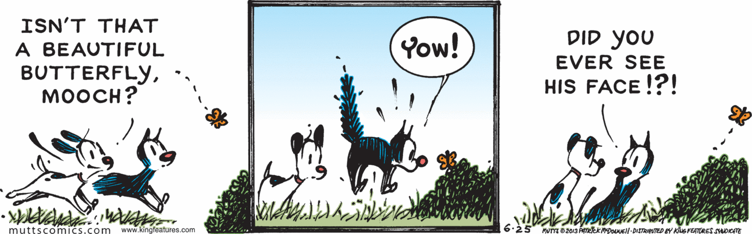 Happy OCR: ISN'T THAT A BEAUTIFUL BUTTERFLYMOOCH? DID you Yow! EVER SEE HIS FACE !?! muttscomics.com www.kingfeatures.com MUTTE D2013 ATeiekMDOE- DISTRUTED BY Khus FEATORES SUDCTE ISN'T THAT A BEAUTIFUL BUTTERFLYMOOCH? DID you Yow! EVER SEE HIS FACE !?! muttscomics.com www.kingfeatures.com MUTTE D2013 ATeiekMDOE- DISTRUTED BY Khus FEATORES SUDCTE