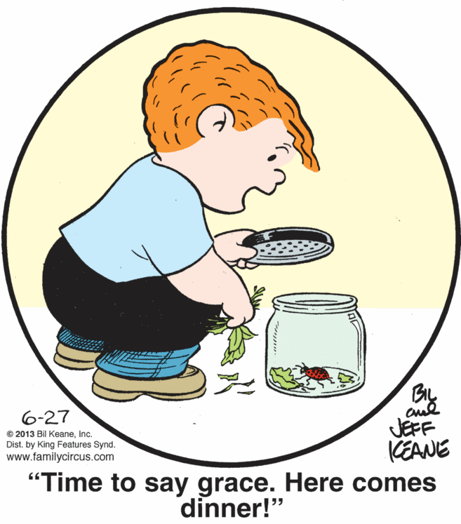 Font OCR: 6-27 JEFF KEANE "Time to say grace. Here comes © 2013 Bil Keaneinc. Dist. by King Features Synd. www.familycircus.com dinner!" 6-27 JEFF KEANE "Time to say grace. Here comes © 2013 Bil Keaneinc. Dist. by King Features Synd. www.familycircus.com dinner!"
