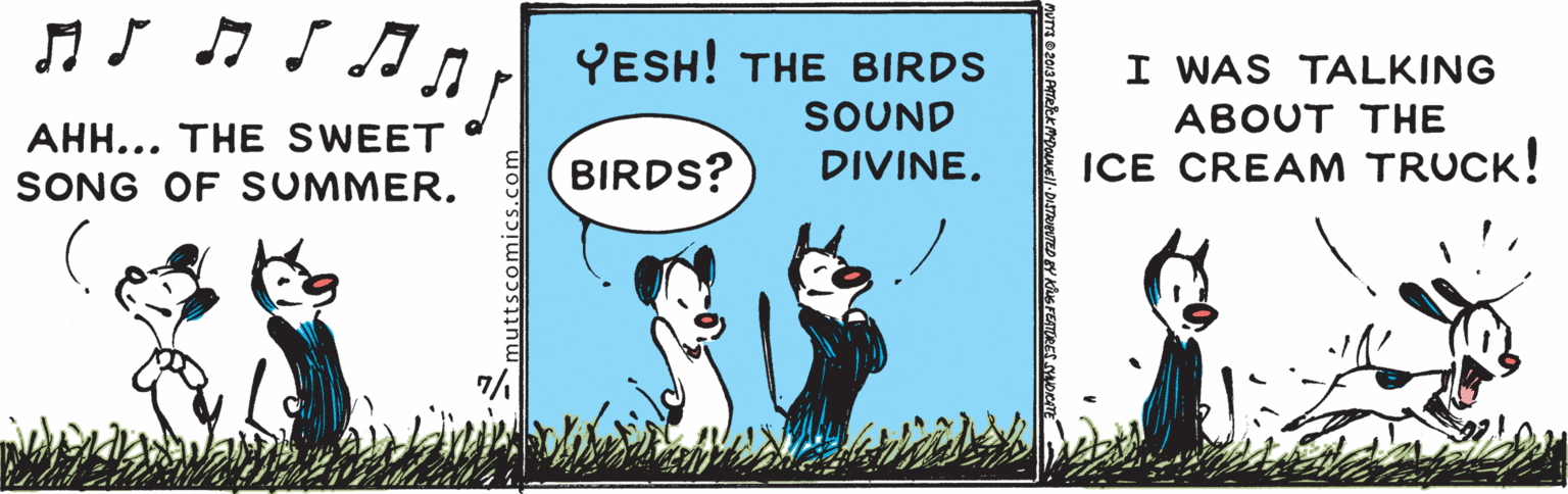 Terrestrial animal OCR: n S 7 S AYESH! THE BIRDS I WAS TALKING SOUND ABOUT THE AHH... THE SWEET BIRDS? DIVINE. ICE CREAM TRUCK! SONG OF SUMMER. n S 7 S AYESH! THE BIRDS I WAS TALKING SOUND ABOUT THE AHH... THE SWEET BIRDS? DIVINE. ICE CREAM TRUCK! SONG OF SUMMER.
