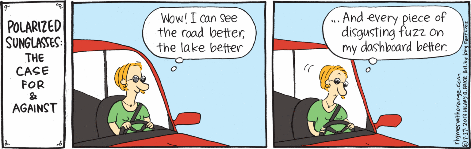 Conversation OCR: POLARIZED SUNGLASSES: Wow! I can See the road betterthe lake better .. And every piece of disgusting fuzz on my dashboard better. THE CASE FOR AGAINST rhymeswithorange.com 7-272013 HILARY B.PRICE Dist. by king Fe POLARIZED SUNGLASSES: Wow! I can See the road betterthe lake better .. And every piece of disgusting fuzz on my dashboard better. THE CASE FOR AGAINST rhymeswithorange.com 7-272013 HILARY B.PRICE Dist. by king Fe