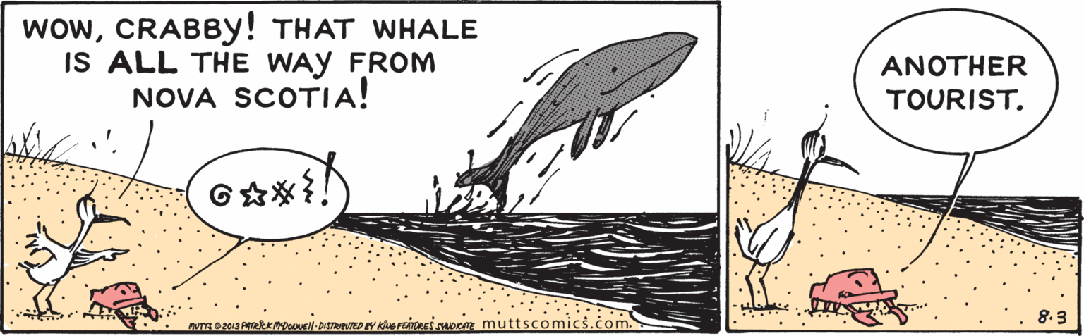 Drawing OCR: wowCRABBY! THAT WHALE IS ALL THE WAY FROM NOVA SCOTIA! ANOTHER TOURIST. nu e203 PATReK MEDoavell-DISTRORVTED EY KIMS FEATREi soIoTE muttscomics.com. 8.3 wowCRABBY! THAT WHALE IS ALL THE WAY FROM NOVA SCOTIA! ANOTHER TOURIST. nu e203 PATReK MEDoavell-DISTRORVTED EY KIMS FEATREi soIoTE muttscomics.com. 8.3