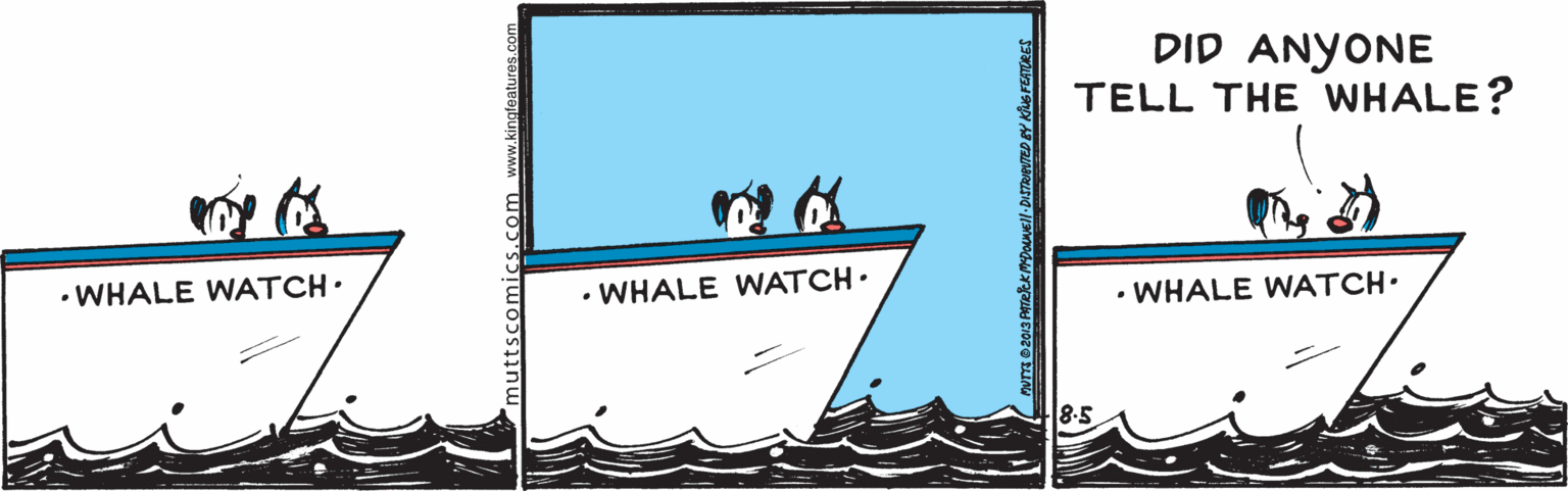 Boat OCR: DID ANYONE TELL THE WHALE? • WHALE WATCH. WHALE WATCH• WHALE WATCH. DID ANYONE TELL THE WHALE? • WHALE WATCH. WHALE WATCH• WHALE WATCH.