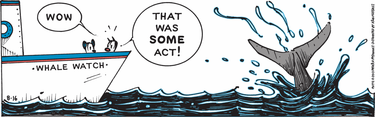 Water OCR: WOw THAT WAS SOME ACT! • WHALE WATCH. 8.16 WOw THAT WAS SOME ACT! • WHALE WATCH. 8.16