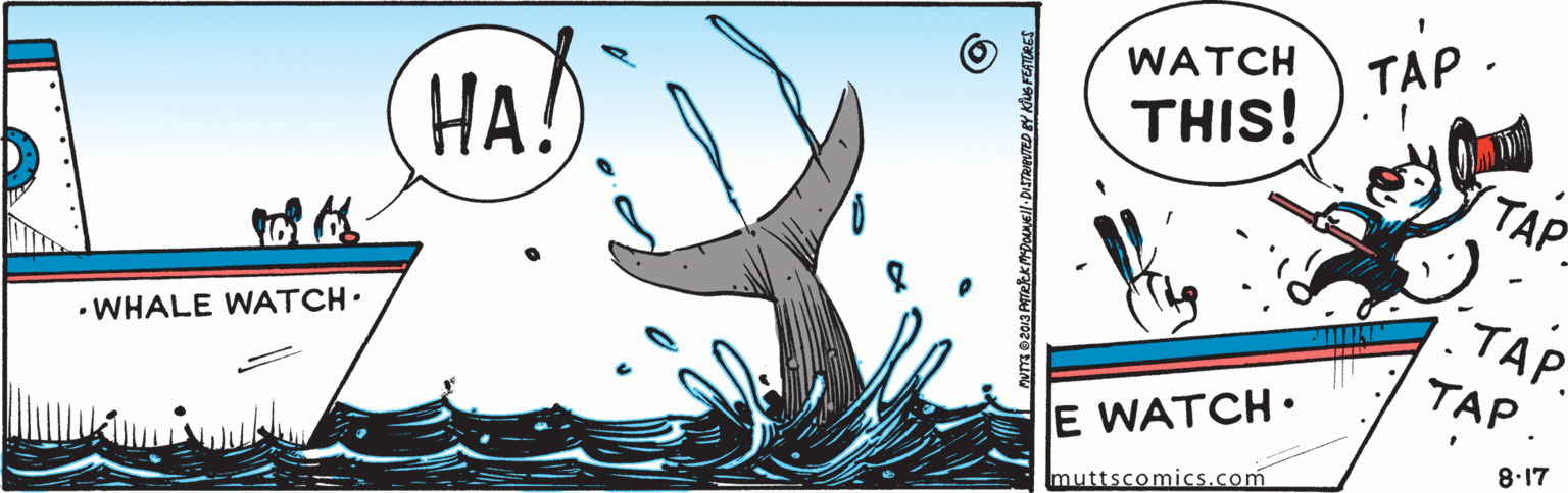 Wing OCR: TAP . THIS! WATCH HA! TAP (TAP. • WHALE WATCH. ??? E WATCH• 8.17 muttscomics.com TAP . THIS! WATCH HA! TAP (TAP. • WHALE WATCH. ??? E WATCH• 8.17 muttscomics.com