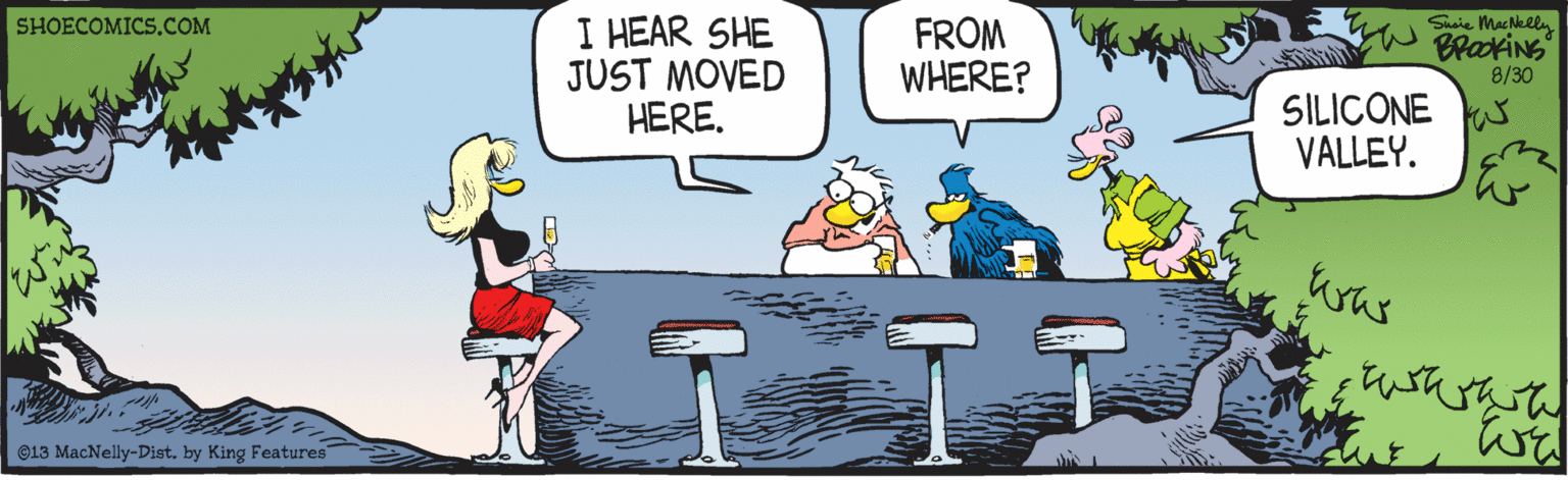Rectangle OCR: I HEAR SHE JUST MOVED HERE. FROM WHERE? Suaie MacNelly BrakiNG 8/30 SHOECOMICS.COM SILICONE VALLEY. ©13 MacNelly-Distby King Features I HEAR SHE JUST MOVED HERE. FROM WHERE? Suaie MacNelly BrakiNG 8/30 SHOECOMICS.COM SILICONE VALLEY. ©13 MacNelly-Distby King Features