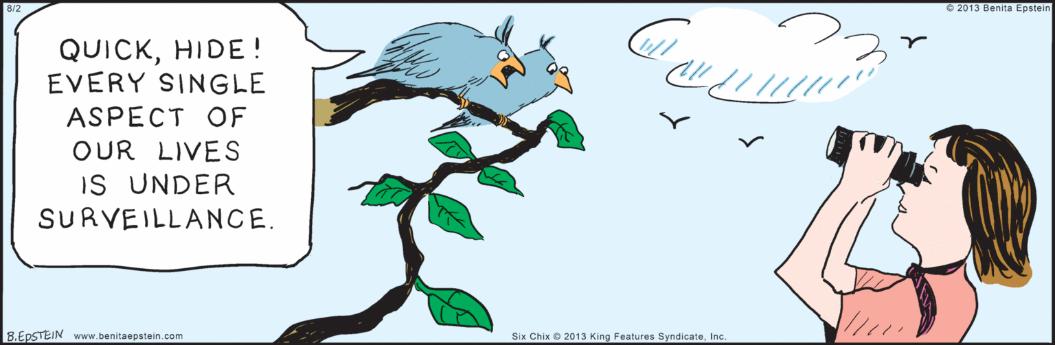 Drawing OCR: www.benitaepstein.com QUICKHIDE ! EVERY SINGLE ASPECT OF OUR LIVES IS UNDER SURVEILLANCE. 8.EPSTEIN © 2013 Benita Epstein 8/2 Six Chix © 2013 King Features SyndicateInc. www.benitaepstein.com QUICKHIDE ! EVERY SINGLE ASPECT OF OUR LIVES IS UNDER SURVEILLANCE. 8.EPSTEIN © 2013 Benita Epstein 8/2 Six Chix © 2013 King Features Syndicate