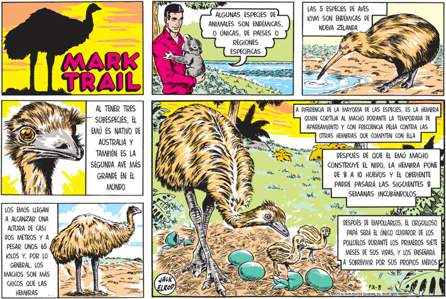 Line OCR: ALGUNAS ESPECIES DE- ANIMALES SON ENDÉMICASDE PAÍSES O LAS 5 ESPECIES DE AVES KIW SON ENDÉMCAS DE NUEVA ZELANDA REGIONES ESPECÍACAS MARK TRAIL AL TENER TRES A DIFERENCIA DE LA MAYORÍA DE LAS ESPECIESES LA HEMBRA SUBESPECIESEL EMÓ ES NATIVO DE QUIEN CORTEJA AL MACHO DURANTE LA TEMPORADA DE APAREAMIENTO Y CON FRECUENCIA PELEA CONTRA LAS OTRAS HEMBRAS QUE COMPITEN CON ELLA AUSTRALIA Y TAMBIÉN ES LA SEGUNDA AVE MÁS DESPUÉS DE QUE EL EMÚ MACHO CONSTRUYE EL NIDOLA HEMBRA PONE DE 8 A 10 HUEVOS Y EL OBEDIENTE PADRE PASARÁ LAS SIGUIENTES 8 SEMANAS INCUBÁNDOLOS GRANDE EN EL MUNDO LOS EMÚS LLEGAN A ALCANZAR UNA DESPUÉS DE EMPOLLARLOSEL ORGULLOSO PAPÁ SERÁ EL ÚNICO CUIDADOR DE LOS ALTURA DE CASI DOS METROS Y A POLLUELOS DURANTE LOS PRIMEROS SIETE PESAR UNOS 65 MESES DE SUS VIDASY LOS ENSEÑARÁ A SOBREVIVIR POR SUS PROPIOS MEDIOS KILOS YPOR LO GENERALLOS MACHOS SON MÁS CHICOS QUE LAS HEMBRAS JACK ELROP 12-8 Co013 by North America. SyndicateInc. Wodd righ ALGUNAS ESPECIES DE- ANIMALES SON ENDÉMICASO ÓNICASDE PAÍSES O LAS 5 ESPECIES DE AVES KIW SON ENDÉMCAS DE NUEVA ZELANDA REGIONES ESPECÍACAS MARK TRAIL AL TENER TRES A DIFERENCIA DE LA MAYORÍA DE LAS ESPECIESES LA HEMBRA SUBESPECIESEL EMÓ ES NATIVO DE QUIEN CORTEJA AL MACHO DURANTE LA TEMPORADA DE APAREAMIENTO Y CON FRECUENCIA PELEA CONTRA LAS OTRAS HEMBRAS QUE COMPITEN CON ELLA AUSTRALIA Y TAMBIÉN ES LA SEGUNDA AVE MÁS DESPUÉS DE QUE EL EMÚ MACHO CONSTRUYE EL NIDOLA HEMBRA PONE DE 8 A 10 HUEVOS Y EL OBEDIENTE PADRE PASARÁ LAS SIGUIENTES 8 SEMANAS INCUBÁNDOLOS GRANDE EN EL MUNDO LOS EMÚS LLEGAN A ALCANZAR UNA DESPUÉS DE EMPOLLARLOSEL ORGULLOSO PAPÁ SERÁ EL ÚNICO CUIDADOR DE LOS ALTURA DE CASI DOS METROS Y A POLLUELOS DURANTE LOS PRIMEROS SIETE PESAR UNOS 65 MESES DE SUS VIDASY LOS ENSEÑARÁ A SOBREVIVIR POR SUS PROPIOS MEDIOS KILOS YPOR LO GENERALLOS MACHOS SON MÁS CHICOS QUE LAS HEMBRAS JACK ELROP 12-8 Co013 by North America. SyndicateInc. Wodd righ