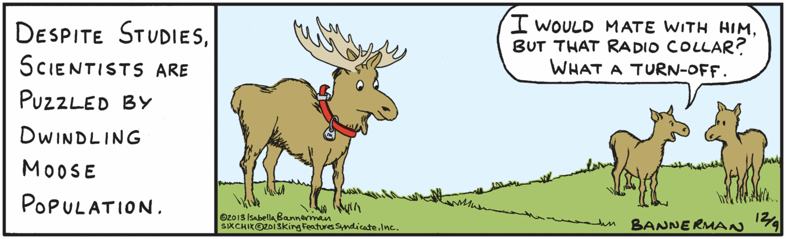 Reindeer OCR: DESPITE STUDIESSCIENTISTS ARE PUZLED BY DWINDLING MOOSE POPULATION. I WOULD MATE WITH HIMBUT THAT RADIO COLLAR? WHAT A TURN-OFF. ©2013 Isabela Banermban SIXCHIXO2013King Features SyndicateInc. BANNERMAN 129 isabellabannerman.com DESPITE STUDIESSCIENTISTS ARE PUZLED BY DWINDLING MOOSE POPULATION. I WOULD MATE WITH HIMBUT THAT RADIO COLLAR? WHAT A TURN-OFF. ©2013 Isabela Banermban SIXCHIXO2013King Features SyndicateInc. BANNERMAN 129 isabellabannerman.com