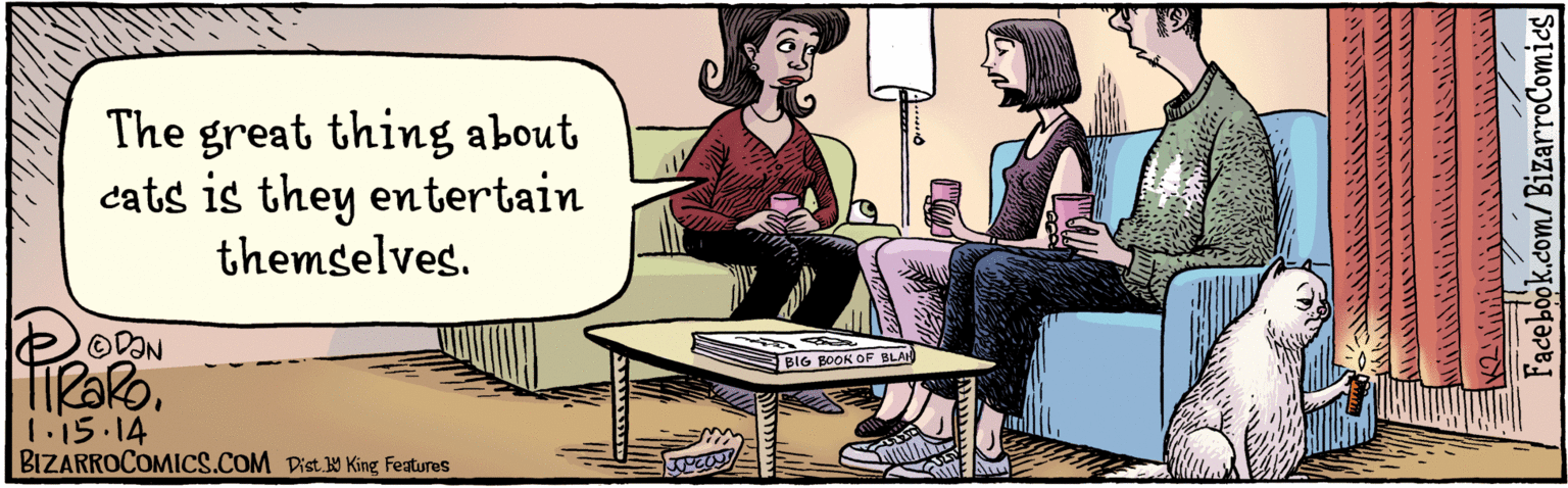 Art OCR: BIZARROCOMICS.COM 1.15.14 The great thing about cats is they entertain themselves. BIG BOOK OPF BLAH Dist Y King Features BIZARROCOMICS.COM 1.15.14 The great thing about cats is they entertain themselves. BIG BOOK OPF BLAH Dist Y King Features