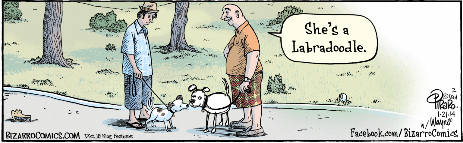 Line OCR: She's a labradoodle. 121 14 Kauna ?? BIZARROCOMICS.COM Facebook.com/BizarroComies Dist. 9 King Features She's a labradoodle. 121 14 Kauna ? ? BIZARROCOMICS.COM Facebook.com/BizarroComies Dist. 9 King Features