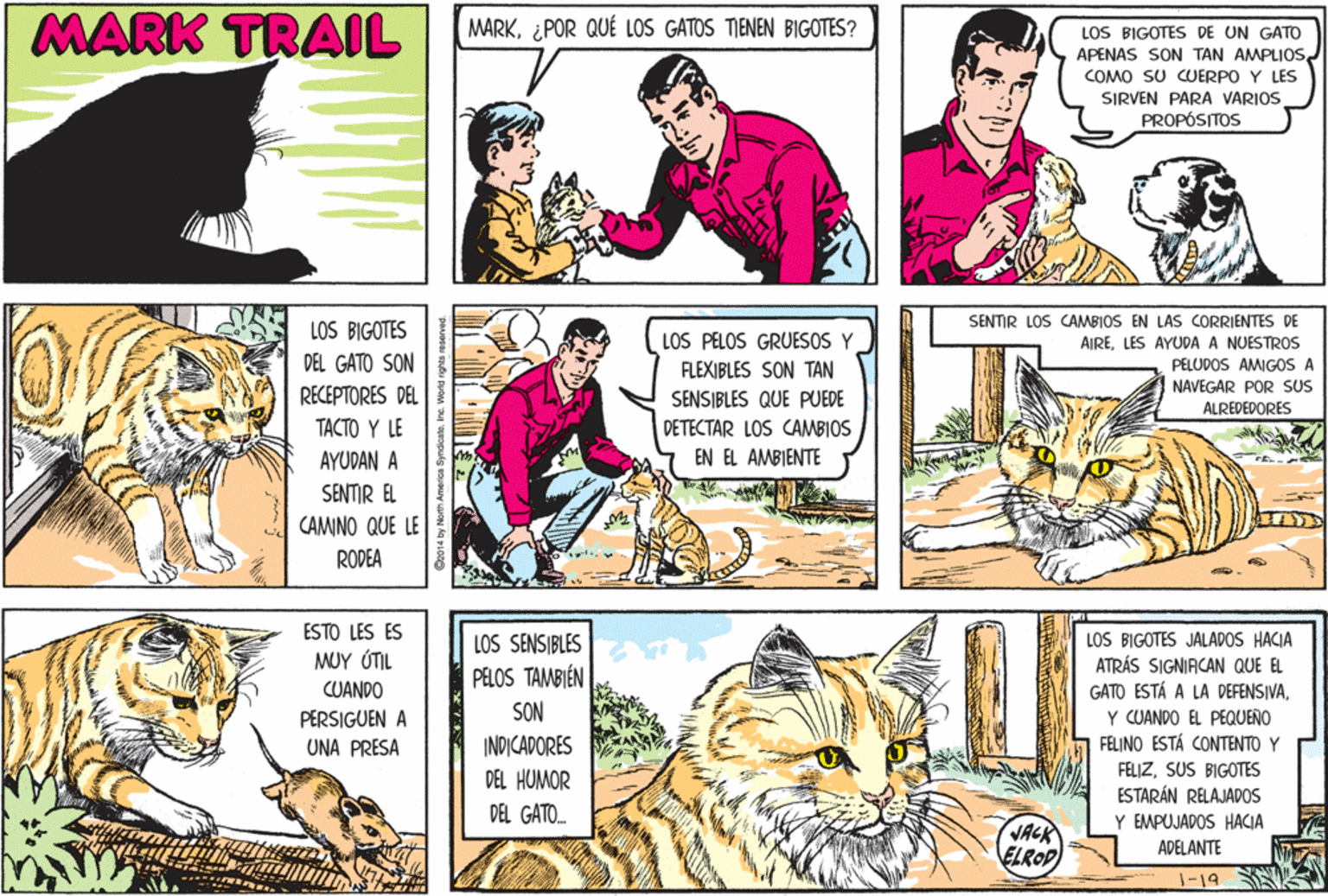 Jaw OCR: MARK TRAIL MARK¿POR QUÉ LOS GATOS TIENEN BIGOTES? LOS BIGOTES DE UN GATO APENAS SON TAN AMPLIOSCOMO SU CJERPO Y LES SIRVEN PARA VARIOS PROPÓSITOS SENTIR LOS CAMBIOS EN LAS CORRIENTES DE AIRELES AYUDA A NUESTROS PELUDOS AMIGOS A LOS BIGOTES LOS PELOS GRUESOS Y DEL GATO SON FLEXIBLES SON TAN RECEPTORES DEL NAVEGAR POR SUS ALREDEDORES SENSIBLES QUE PUEDE TACTO Y LE DETECTAR LOS CAMBIOS AYUDAN A EN EL AMBIENTE SENTIR EL CAMINO QUE LE RODEA ESTO LES ES MUY ÚTIL CUANDO LOS SENSIBLES PELOS TAMBIÉN LOS BIGOTES JALAPOS HACIA ATRÁS SIGNIACAN QUE EL GATO ESTÁ A LA DEFENSIVASON PERSIGUEN A UNA PRESA Y CUANDO EL PEQUEÑO FELINO ESTÁ CONTENTO Y INDICADORES FELIZSUS BIGOTES ESTARÁN RELAJADOS Y EMPUJADOS HACIA DEL HUMOR DEL GATO. VACK ELROP) ADELANTE 1-19 MARK TRAIL MARK¿POR QUÉ LOS GATOS TIENEN BIGOTES? LOS BIGOTES DE UN GATO APENAS SON TAN AMPLIOSCOMO SU CJERPO Y LES SIRVEN PARA VARIOS PROPÓSITOS SENTIR LOS CAMBIOS EN LAS CORRIENTES DE AIRELES AYUDA A NUESTROS PELUDOS AMIGOS A LOS BIGOTES LOS PELOS GRUESOS Y DEL GATO SON FLEXIBLES SON TAN RECEPTORES DEL NAVEGAR POR SUS ALREDEDORES SENSIBLES QUE PUEDE TACTO Y LE DETECTAR LOS CAMBIOS AYUDAN A EN EL AMBIENTE SENTIR EL CAMINO QUE LE RODEA ESTO LES ES MUY ÚTIL CUANDO LOS SENSIBLES PELOS TAMBIÉN LOS BIGOTES JALAPOS HACIA ATRÁS SIGNIACAN QUE EL GATO ESTÁ A LA DEFENSIVASON PERSIGUEN A UNA PRESA Y CUANDO EL PEQUEÑO FELINO ESTÁ CONTENTO Y INDICADORES FELIZSUS BIGOTES ESTARÁN RELAJADOS Y EMPUJADOS HACIA DEL HUMOR DEL GATO. VACK ELROP) ADELANTE 1-19