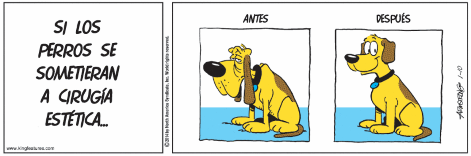 Art OCR: ANTES DESPUÉS SI LOS PERROS SE SOMETIERAN A CIRUGÍA ESTÉTICA. www.kingleilures.com ANTES DESPUÉS SI LOS PERROS SE SOMETIERAN A CIRUGÍA ESTÉTICA. www.kingleilures.com